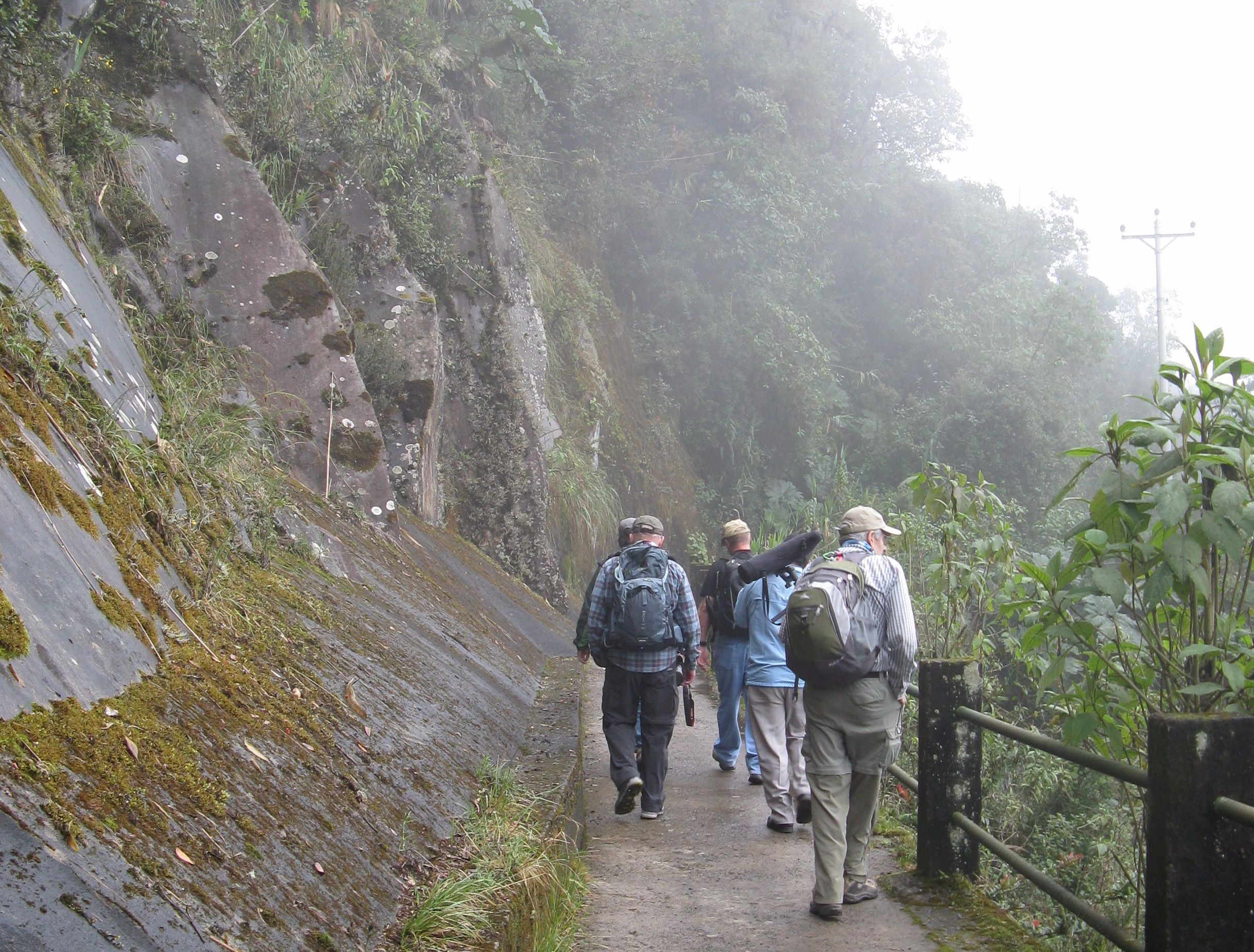 A hike in the Yanacocha Nature Reserve.