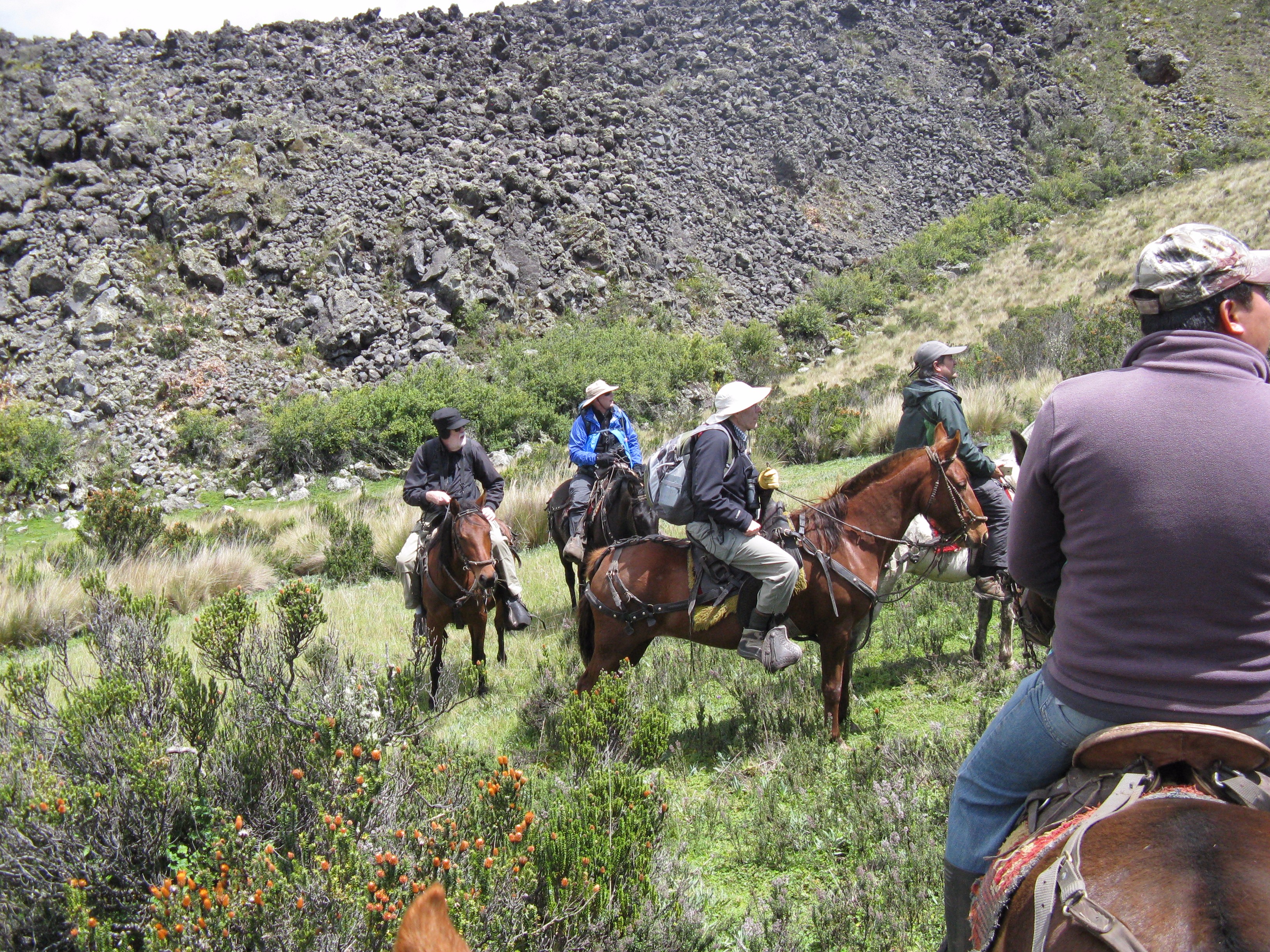 Horseback adventure for the team in Ecuador.