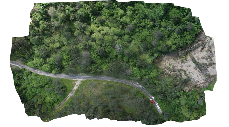 High-resolution orthomosaic of a landslide-affected minefield in Vogosca, Bosnia-Herzegovina, June, 2015.