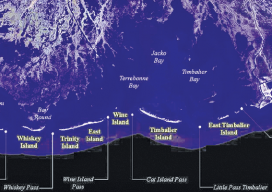 The Barrier Islands off the Gulf Coast are threatened by coastal land loss.