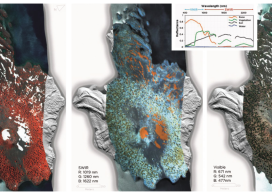 Different visualizations of the same VNIR+SWIR hyperspectral image (of Wizard Island, Crater Lake, OR) draped over a lidar bare-earth digital elevation model. The variation in vegetation, snow, soil/geologic cover, and even water properties can be highlighted with different combinations of spectral wavelength images.