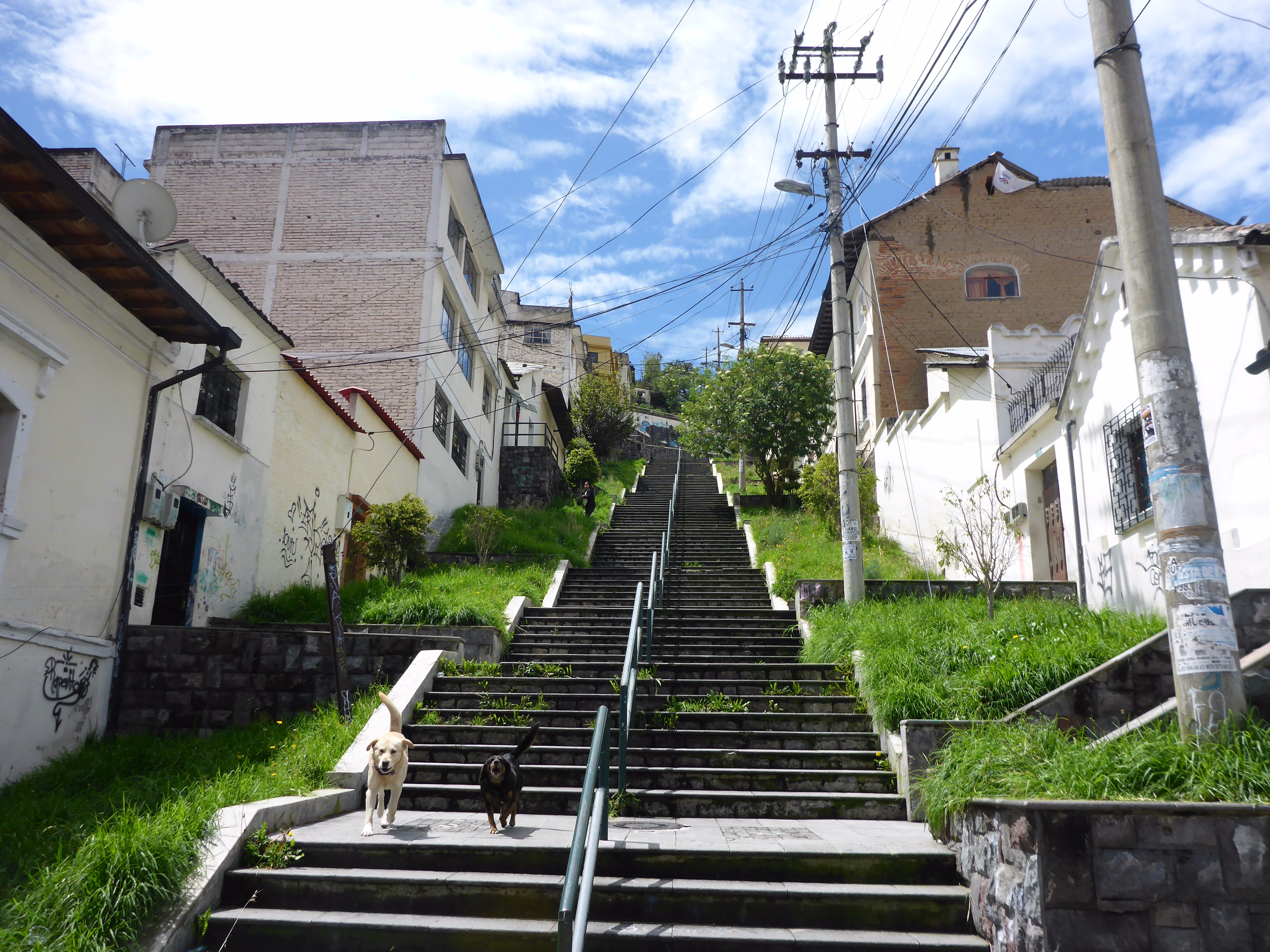 The many steep hills of Quito prove a hiking challenge in the thin atmosphere.