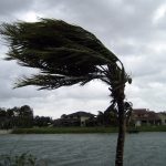 hurricane irma
