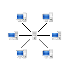 Server-based network virtualization