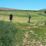 field notes golf
