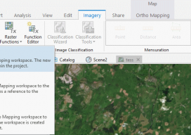 Arc GISPro Orth Imagery