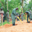 demining process