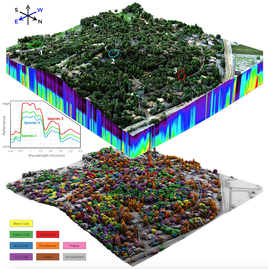This image shows two examples of hyperspectral data or derived products used to colorize a lidar point cloud. At top, red, green, and blue color channels were extracted and applied to the point cloud. The call-out to the left shows the full reflectance spectrum from the hyperspectral data cube for the three labeled points. At bottom are the results of a tree species classification applied to a point cloud.