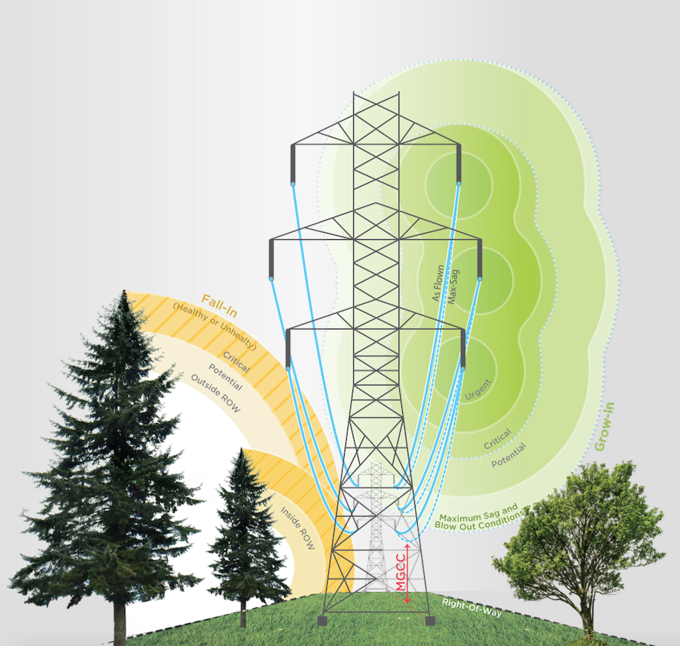 By fusing lidar data with ambient weather data, line-load, and other engineering information from the utility, Quantum Spatial is able to model conductor positions under different conditions to better describe the risk any given tree may pose to the infrastructure.  