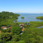 The schooner Ceiba is being built in the Costa Rican jungle