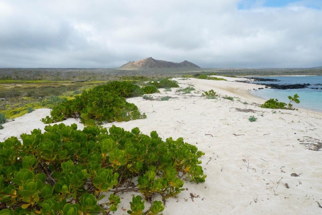 The natural landscape of the Galapagos islands. © Amy Tian