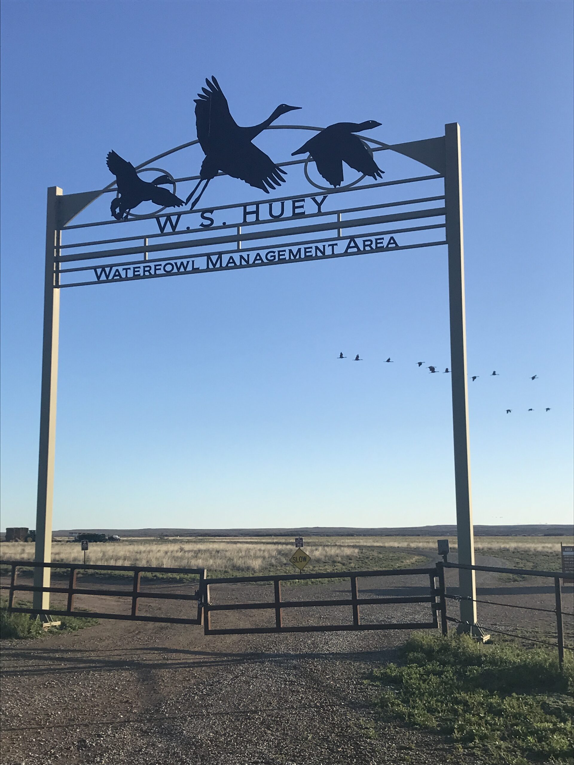 The W.S. Huey Waterfowl Management Area was created in 1986 by the New Mexico State Game and Fish Department to create new habitat for waterfowl.