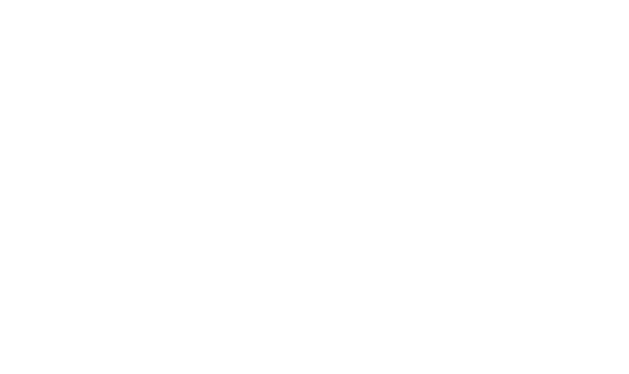 Autonomous Drone Mapping