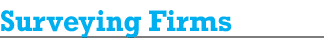 Surveying Firms