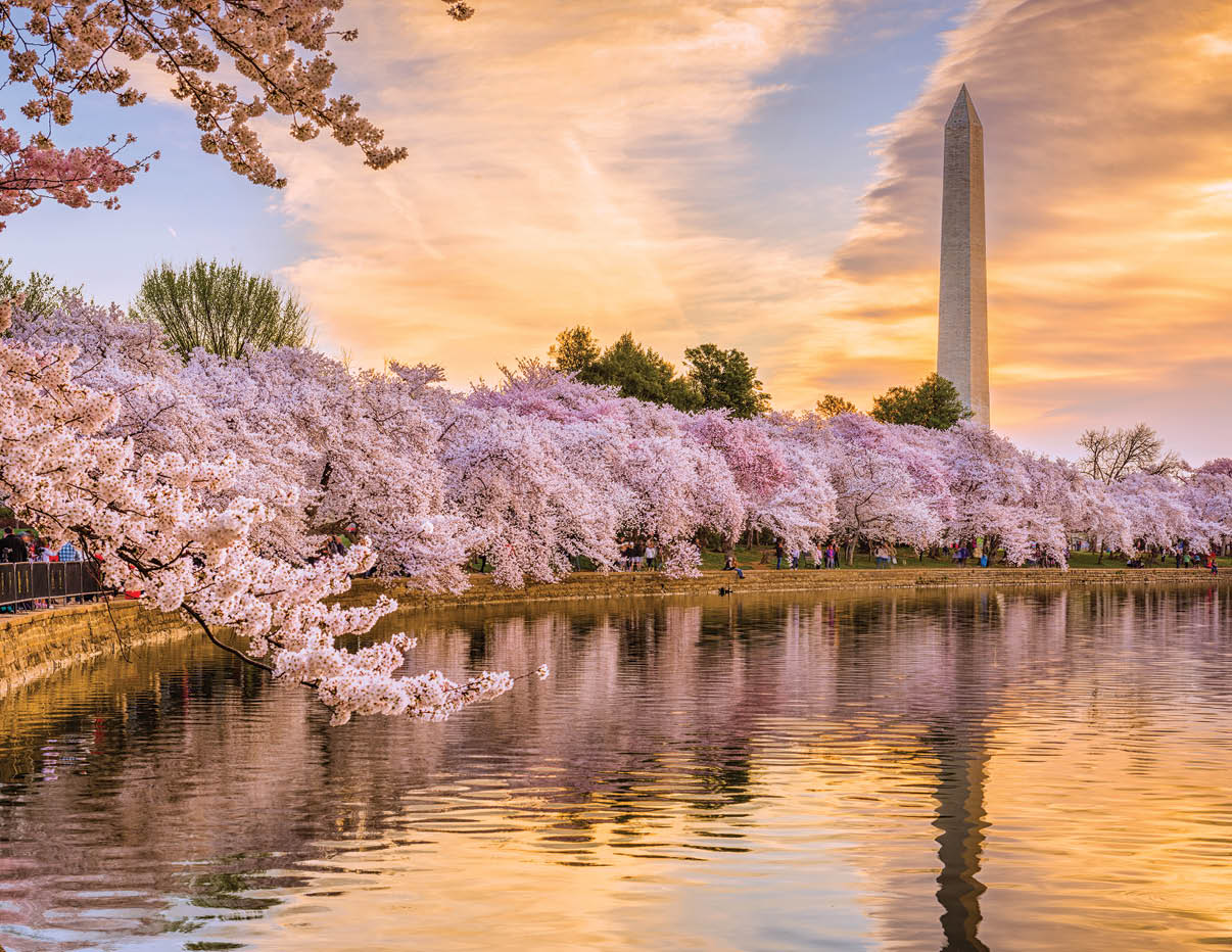 Washington DC, USA in spring season.